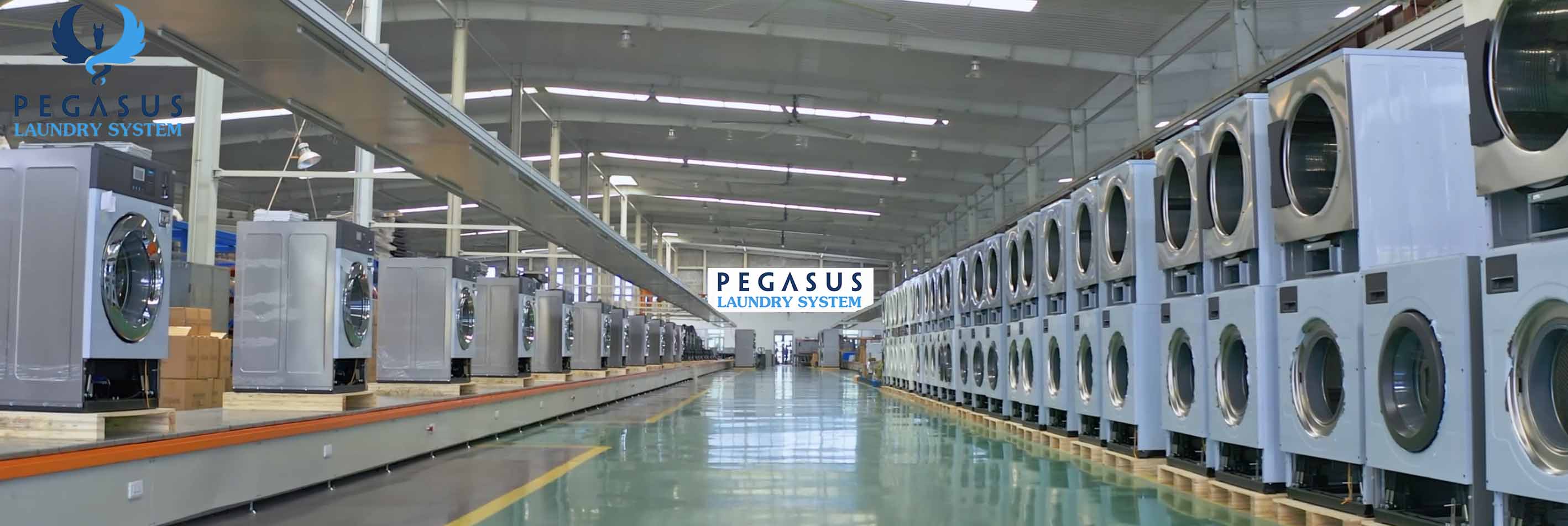 Pegasus Laundry System